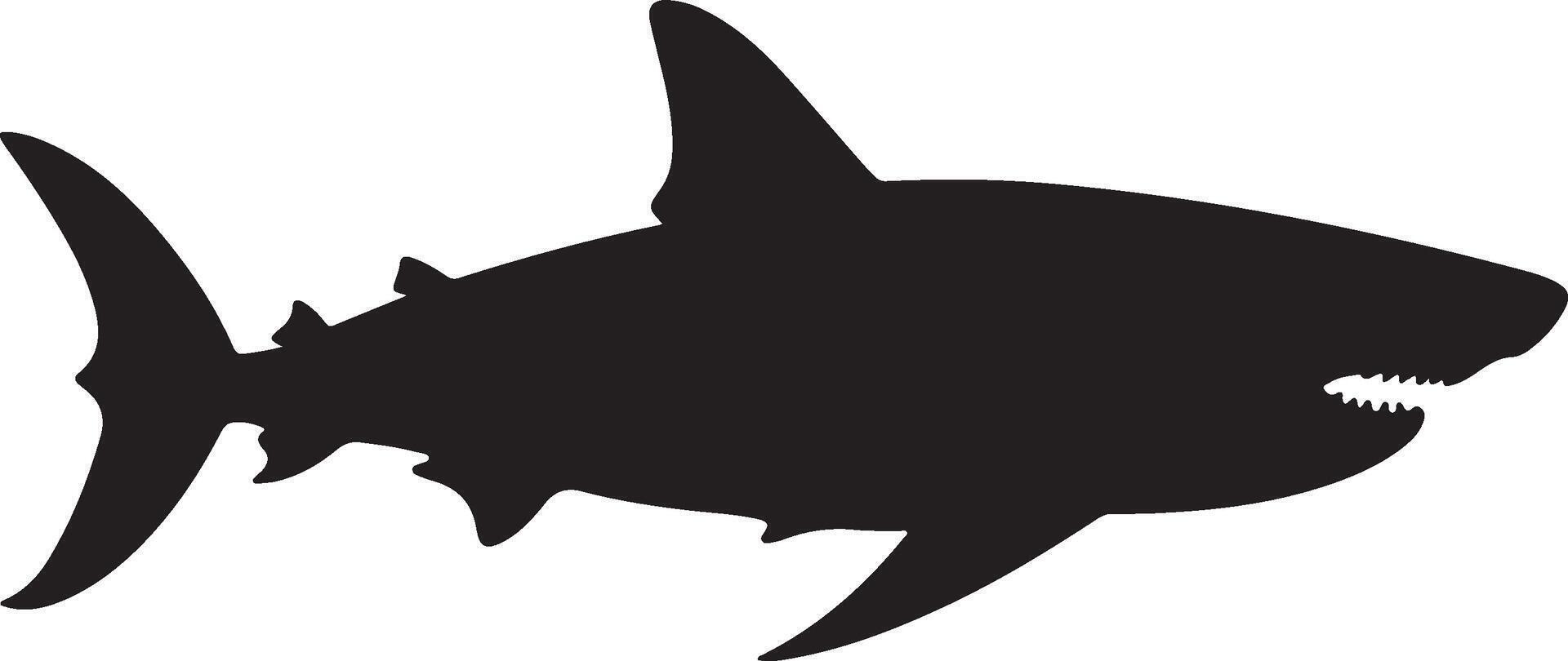 Shark Silhouette Vector Illustration White Background