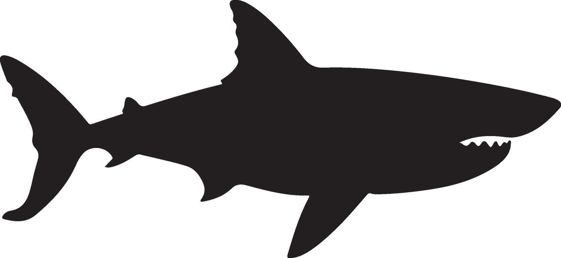 Shark Silhouette Vector Illustration White Background