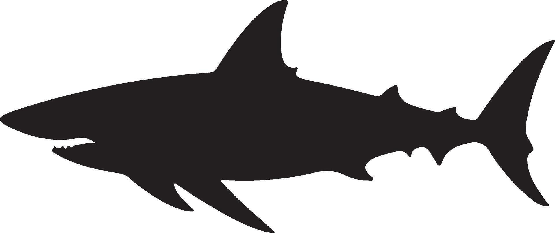 Shark Silhouette Vector Illustration White Background