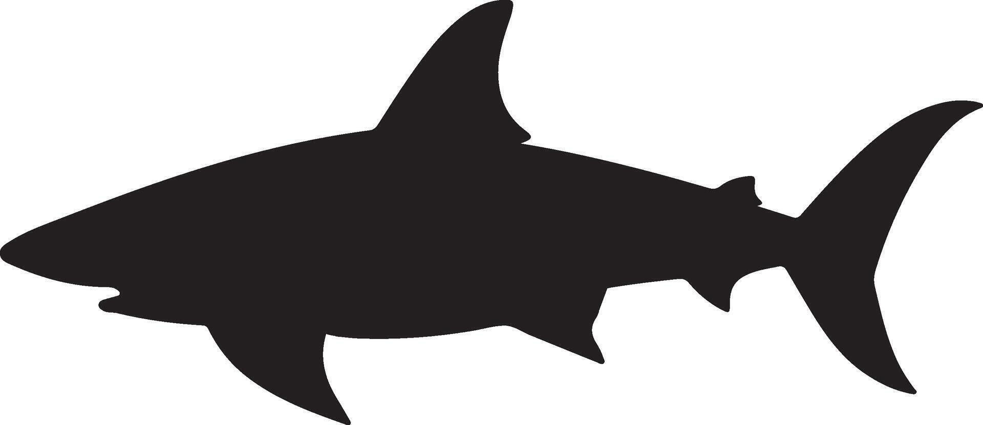 Shark Silhouette Vector Illustration White Background