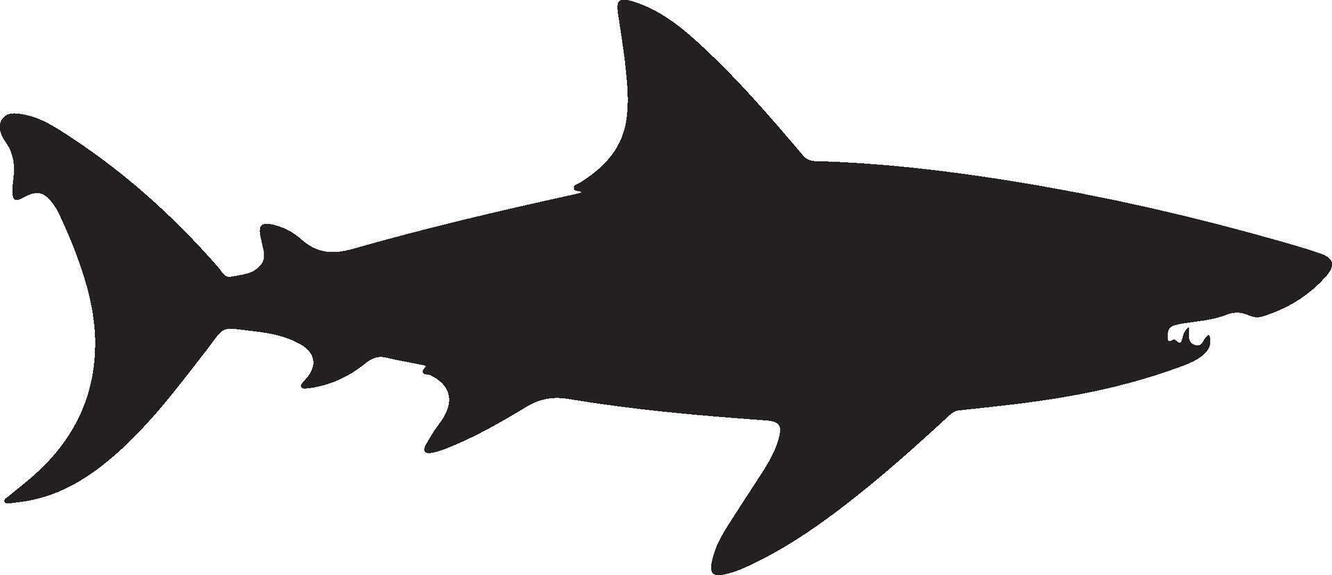 Shark Silhouette Vector Illustration White Background