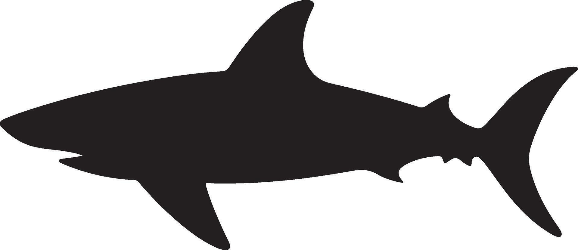Shark Silhouette Vector Illustration White Background