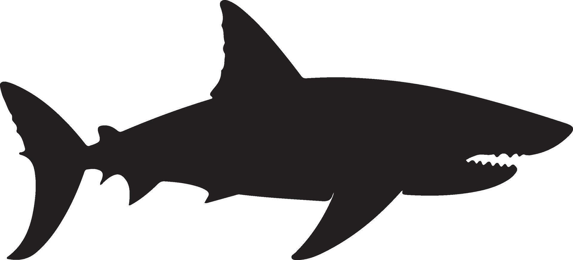 Shark Silhouette Vector Illustration White Background