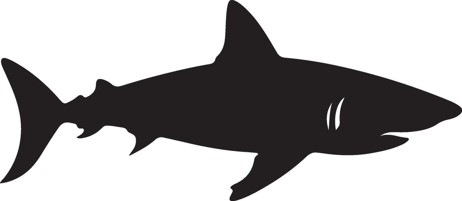Shark Silhouette Vector Illustration White Background