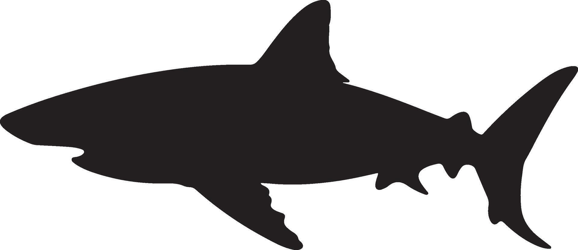 Shark Silhouette Vector Illustration White Background