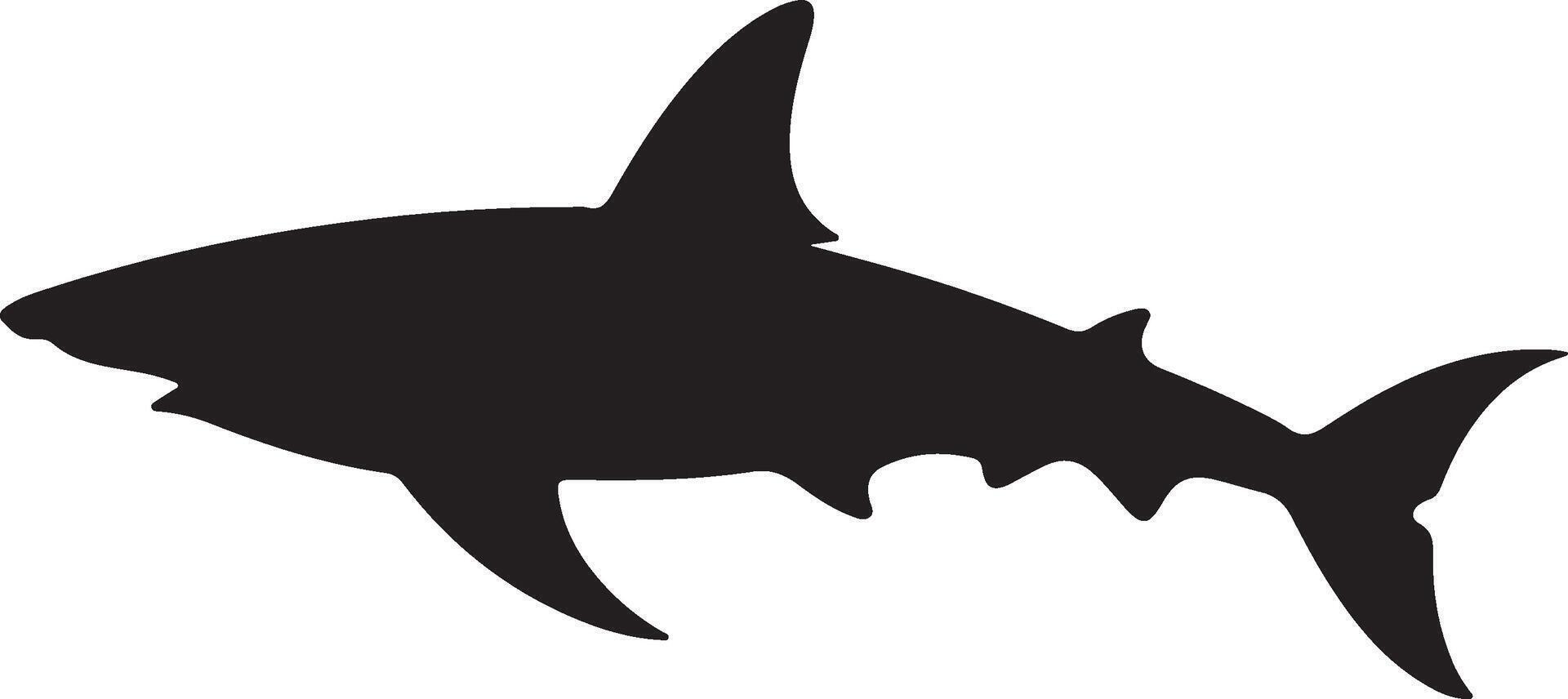 Shark Silhouette Vector Illustration White Background