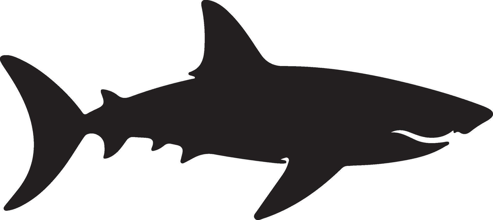 Shark Silhouette Vector Illustration White Background