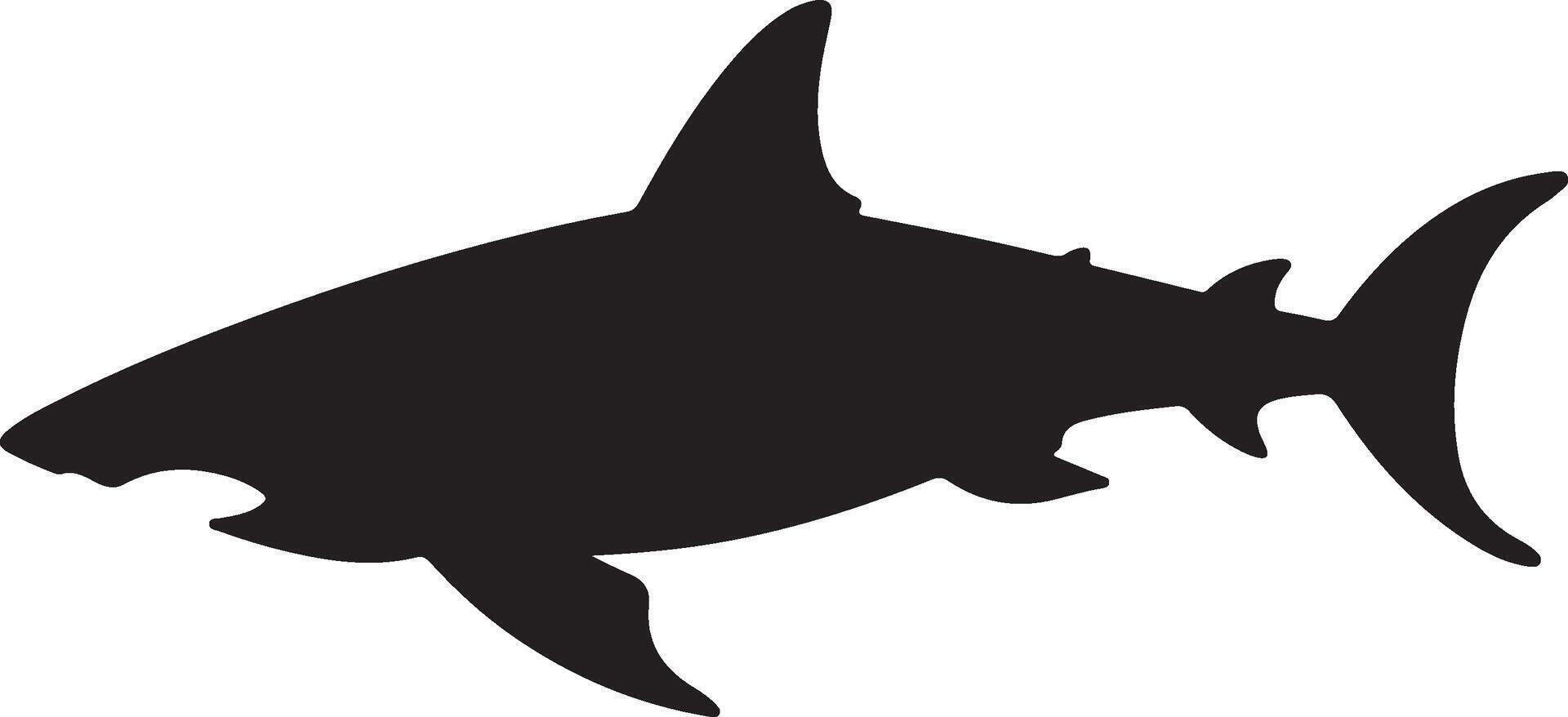 Shark Silhouette Vector Illustration White Background