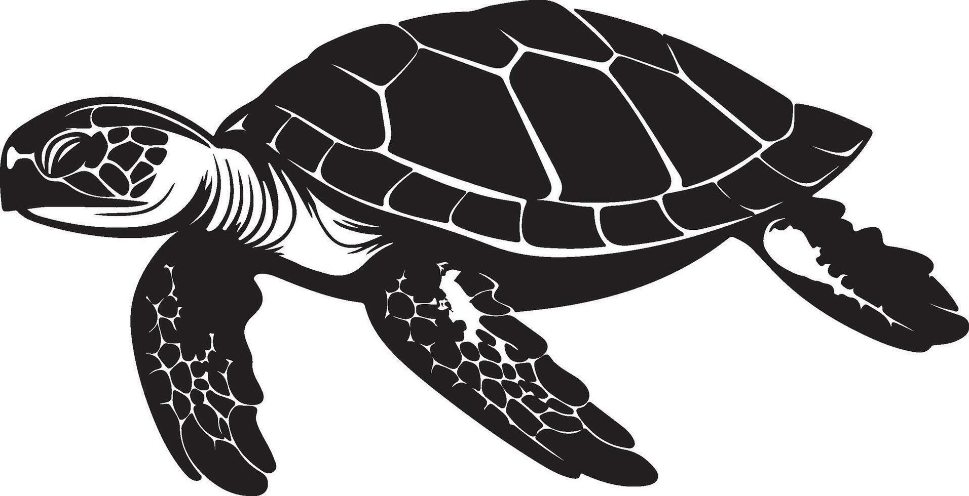 Turtle Silhouette Vector Illustration White Background