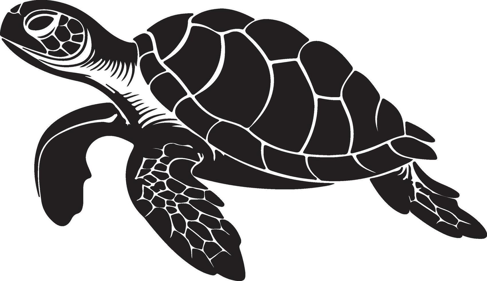 Turtle Silhouette Vector Illustration White Background