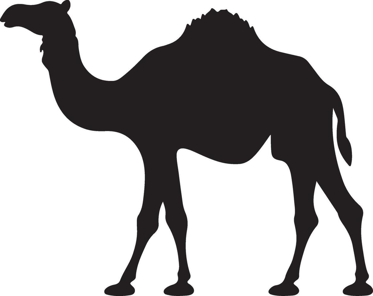 Camel Silhouette Vector Illustration White Background