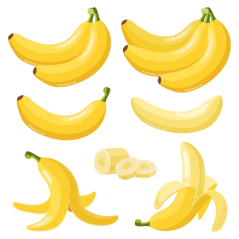 Cartoon bananas. Tropical yellow fruit, peeled banana and bunch of ripe bananas, vegetarian fresh fruits isolated vector illustration icons set