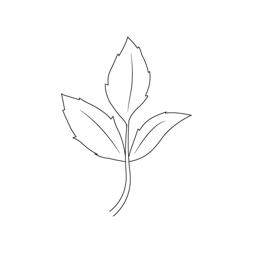 leaf logo vector