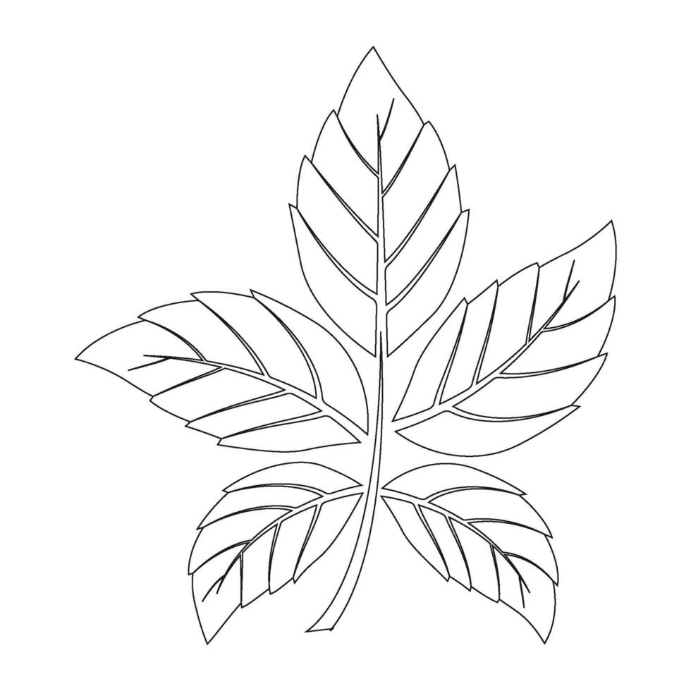 leaf logo vector