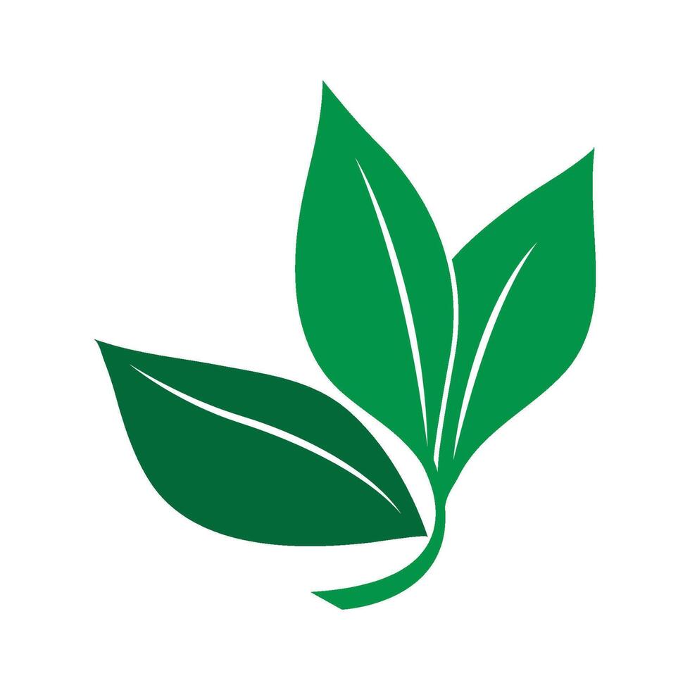 leaf logo vector