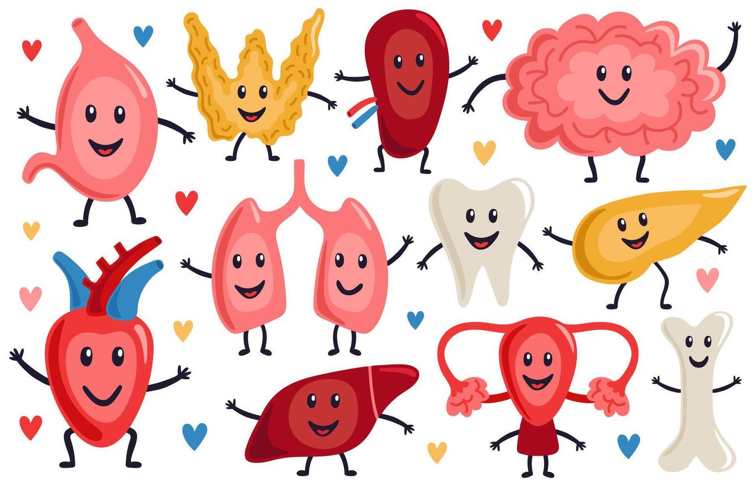 linda interno órganos sano gracioso corazón, estómago, livianos y cerebro, medicina humano órganos caracteres, biológico Organo vector ilustración conjunto