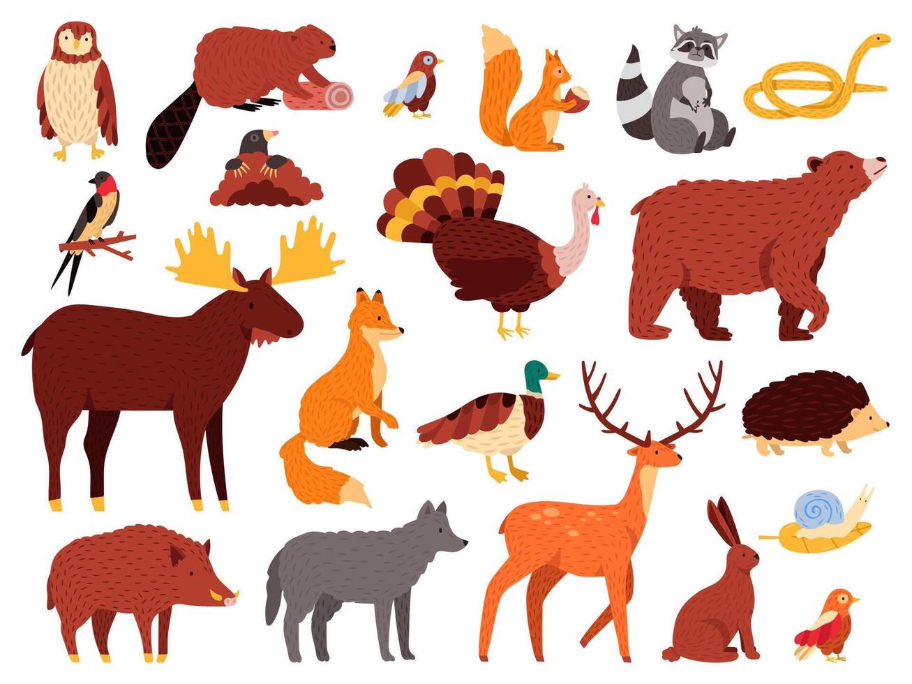 Cute animals. Cartoon forest animals, bear raccoon fox and cute owl, hand drawn mammals and birds, fall wood fauna vector illustration icons set