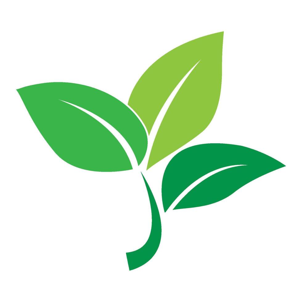 leaf logo vector