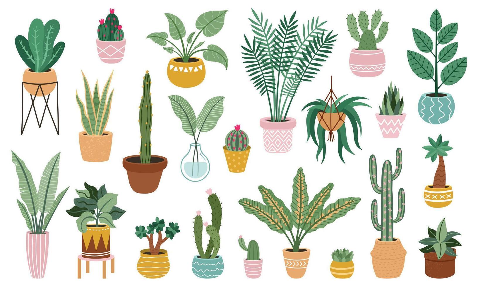 Plant in pots. Home potted plants, flower house plants, ficus, cacti and succulents, indoor decorative plants isolated vector illustration set