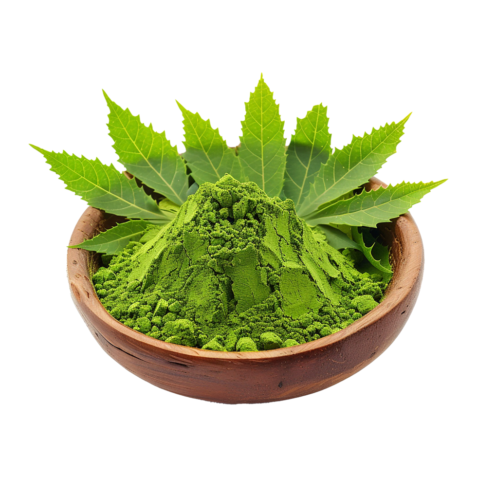 AI generated Neem leaves powder in wooden bowl isolated on transparent background png