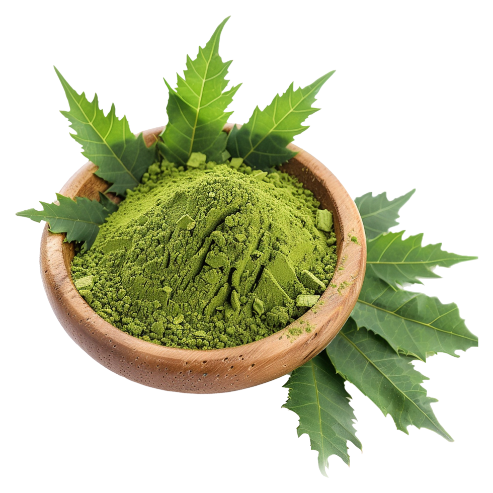 AI generated Neem leaves powder in wooden bowl isolated on transparent background png