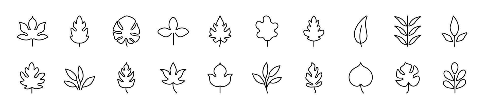 Leaf Line Icons collection. Editable stroke. Simple linear illustration for web sites, newspapers, articles book vector