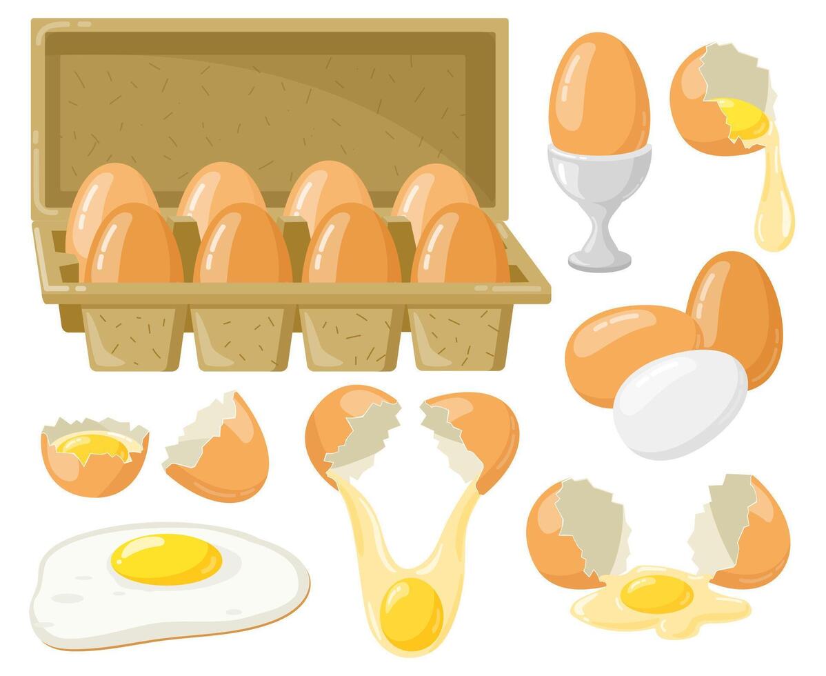 Cartoon chicken eggs. Fresh, boiled, fried eggs, broken eggs, half egg with yolk, eggs in cardboard box. Organic farm food vector illustration set