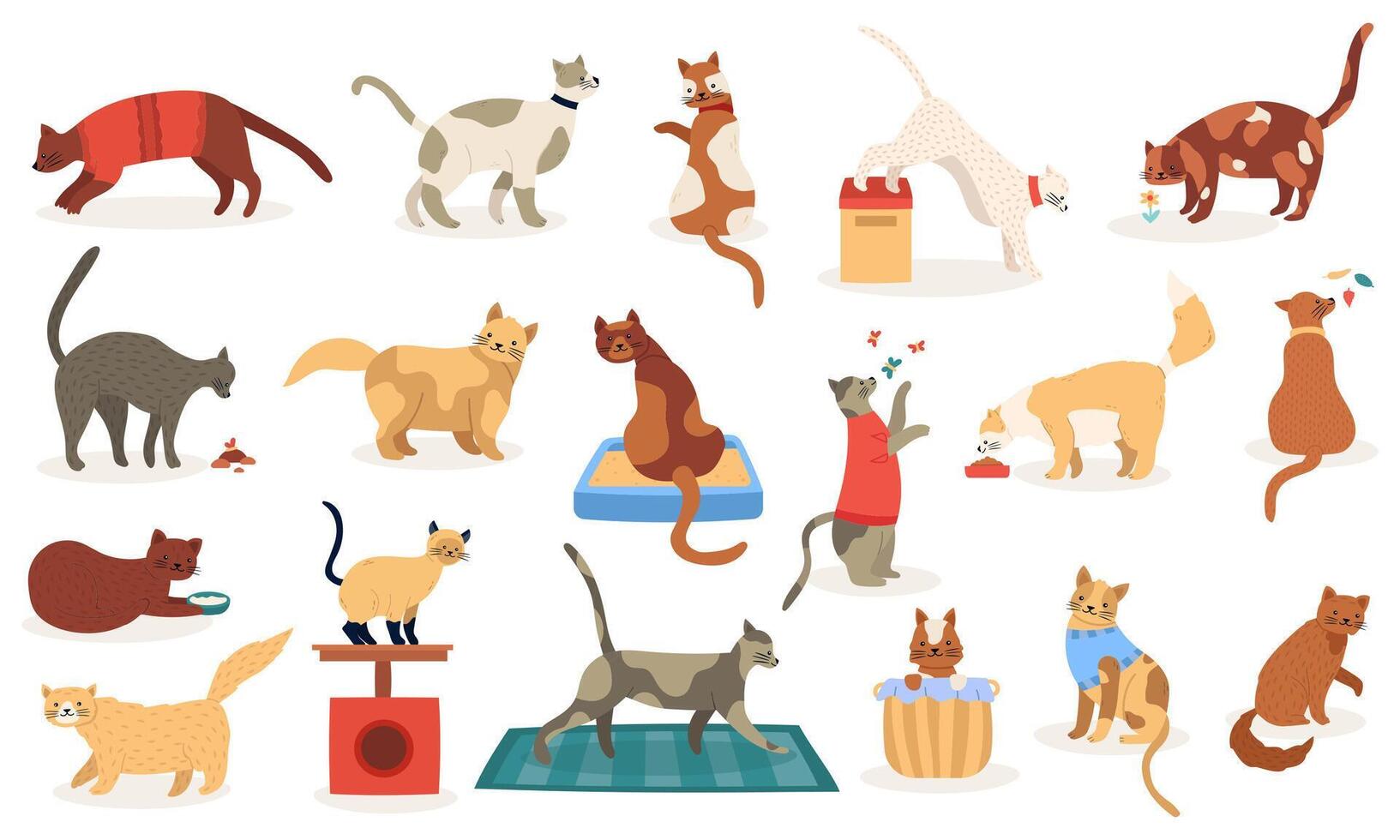 Funny cats. Cute adorable kitty cats, sleeping playing pedigree breeds pets, domestic kitten characters isolated vector illustration icons set