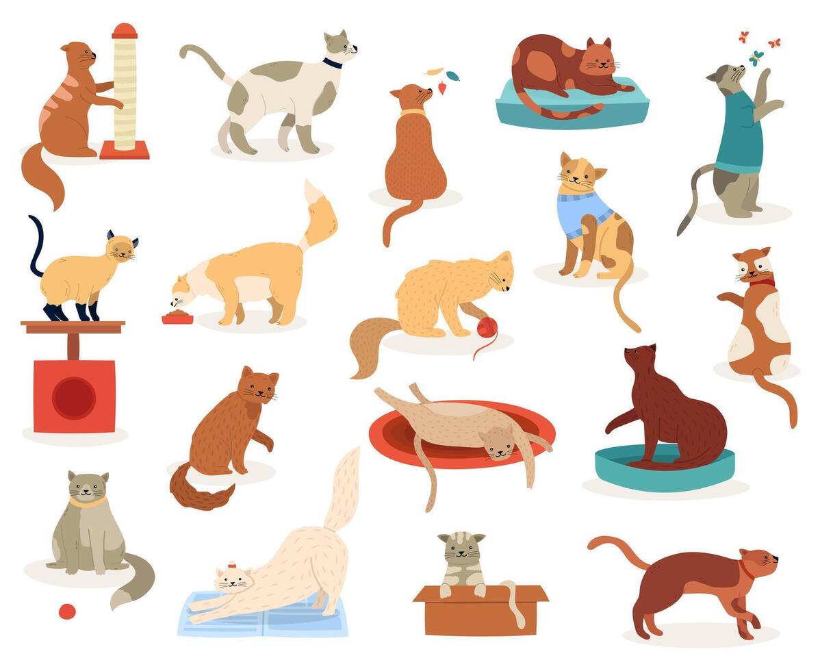 Cartoon cats. Cute kitten characters, funny fluffy playful cats, pedigree breeds pets, adorable kitty pets vector illustration icons set