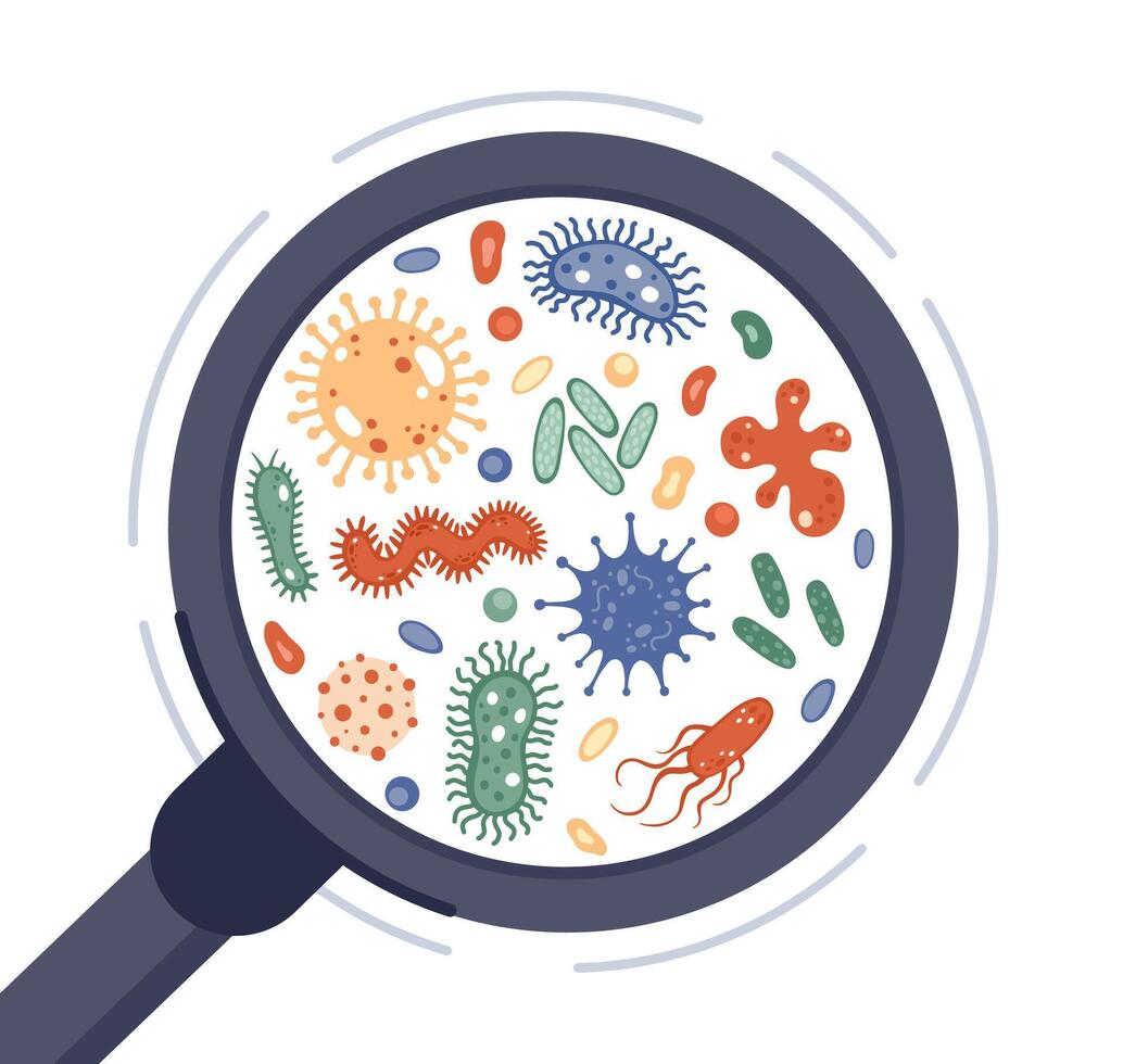 bacterias en aumentador vaso. virus, infección germen y enfermedad bacterias debajo rejuvenecedor vaso. microorganismos circulo vector ilustración