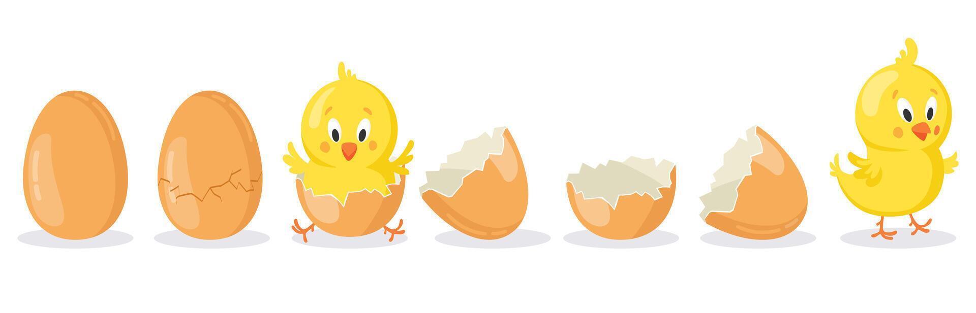 Cartoon hatched easter egg. Cracked chicken eggs with cute chicken mascot, newborn baby chick bird hatching from egg vector illustration set
