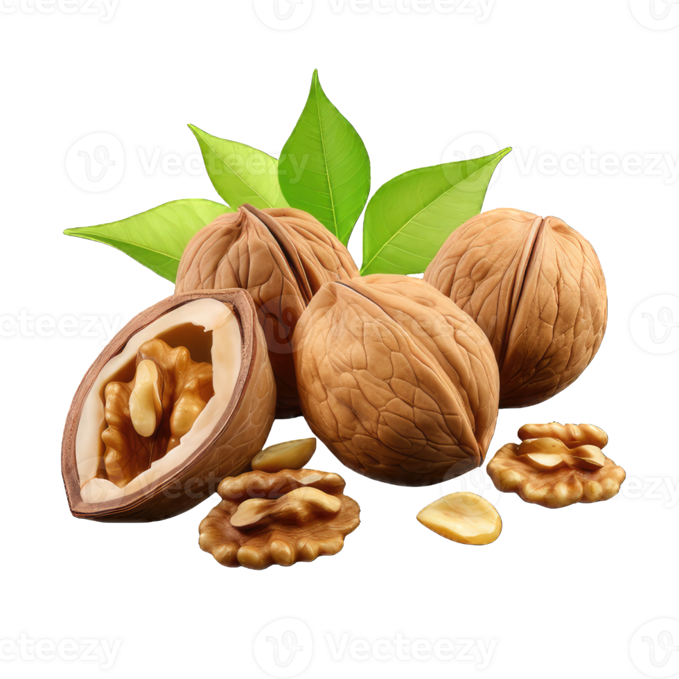 AI generated Walnut Studio Shot Isolated on transparent Background, Food Photography, png