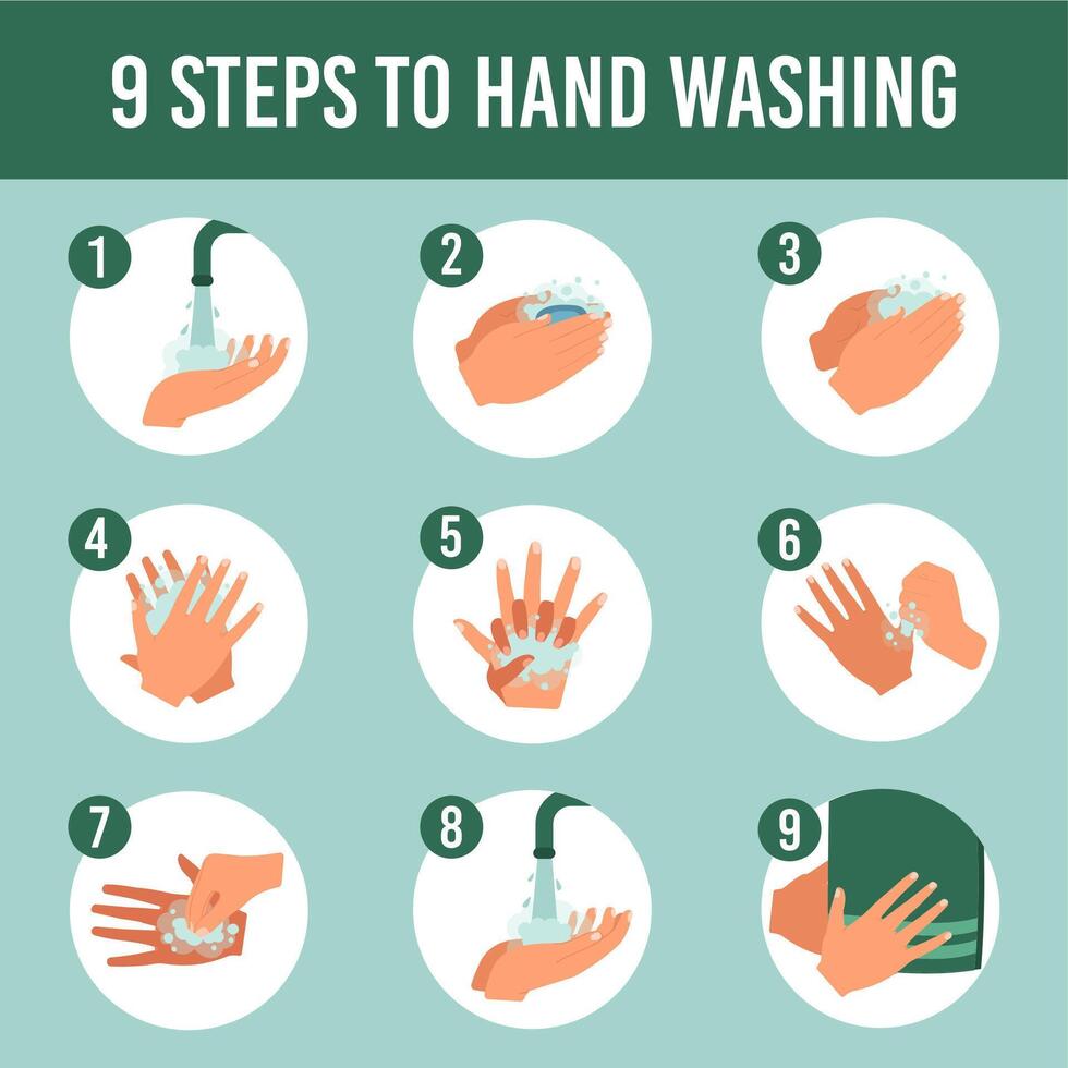Hands wash infographic. Healthcare personal hygiene, step by step washing hands with soap vector educational infographic illustration