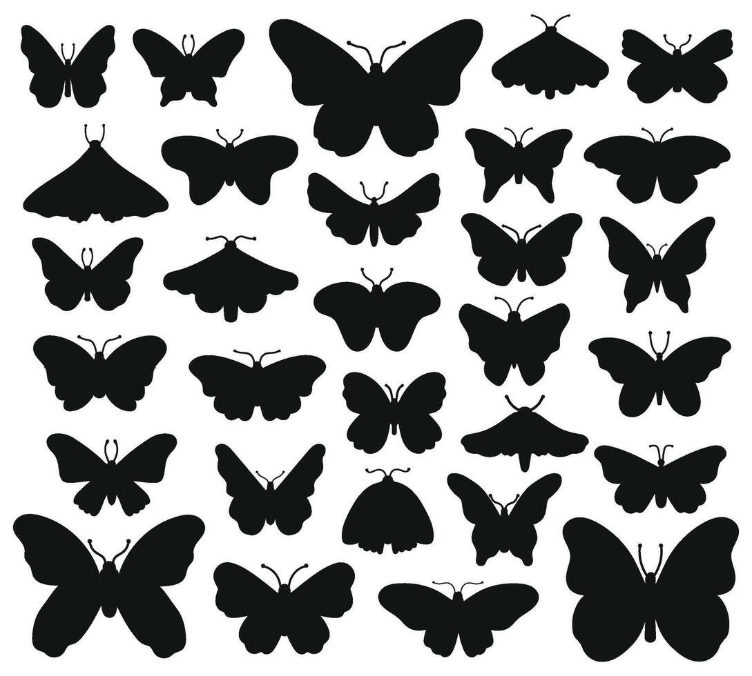 Butterflies silhouettes. Hand drawn butterfly, drawing insect graphic. Black drawing butterflies silhouettes isolated vector illustration set