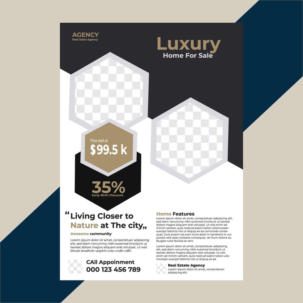 Business Flyer  Design Template vector