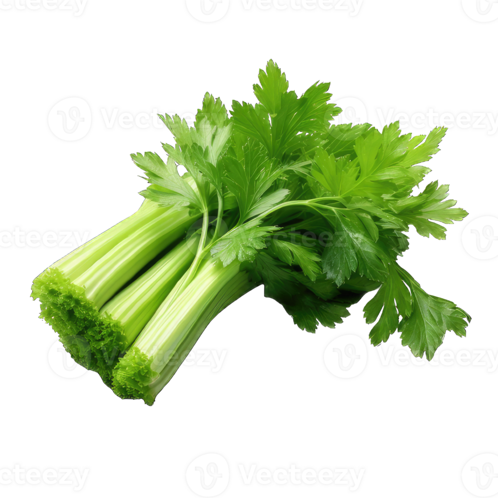 AI generated celery transparent background PNG