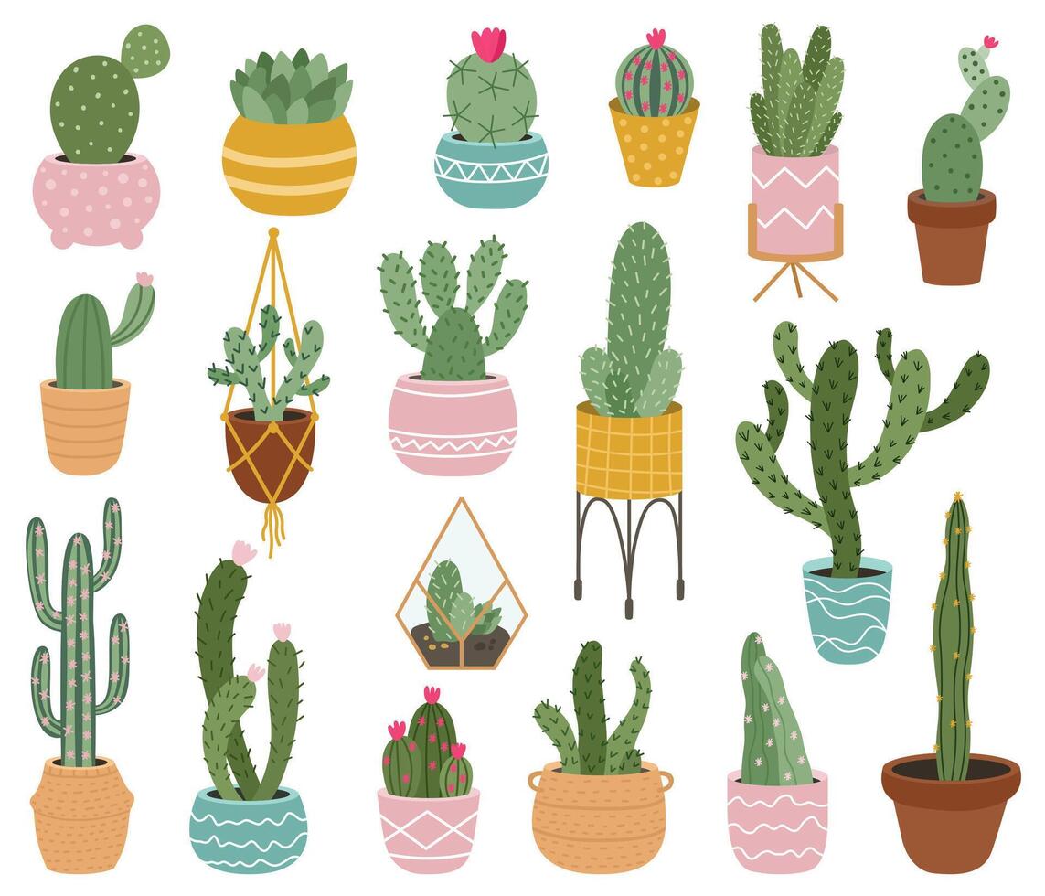 Potted cactus. Cute desert cactus, succulents and aloe in pots, tropical home plants, mexican prickly house potted plants vector illustration set