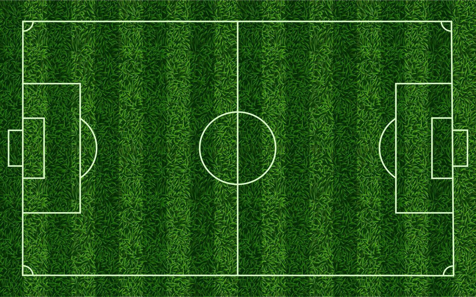 Realistic soccer grass field. Football lawn field, stadium green grass texture top view playground, sports field with markup vector background