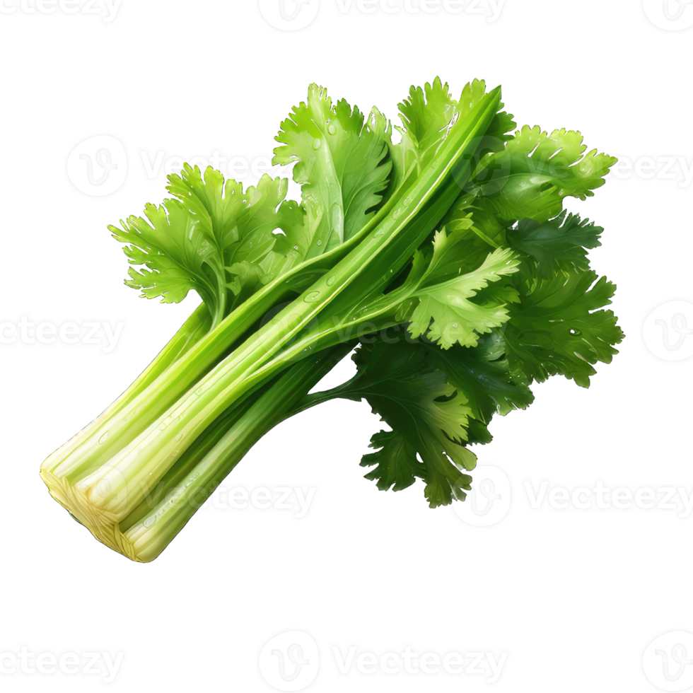 AI generated celery transparent background PNG