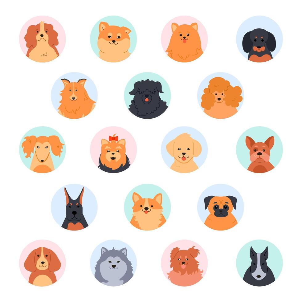 Pet cute faces. Cute dog head. Poodle, funny yorkshire terrier, pomeranian spitz and labrador retriever. Purebred dogs muzzle vector illustration set. Social network round profile avatars. Flat icons