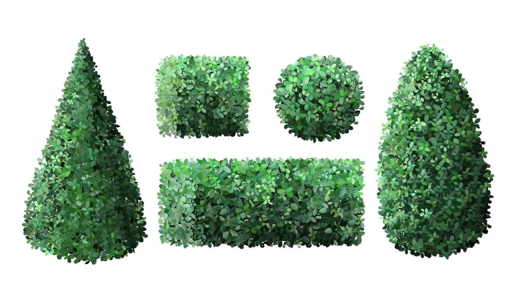 Realistic garden bushes. Topiary gardener fence, geometrical tree crown bush foliage nature green seasonal shrub, green fence vector illustration set