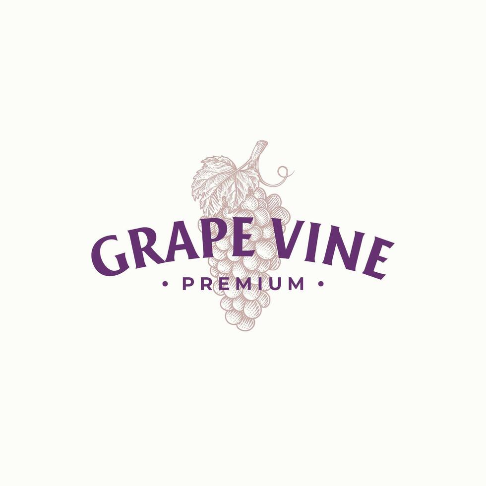 Vintage grape logo design template with hand drawn illustration. vector