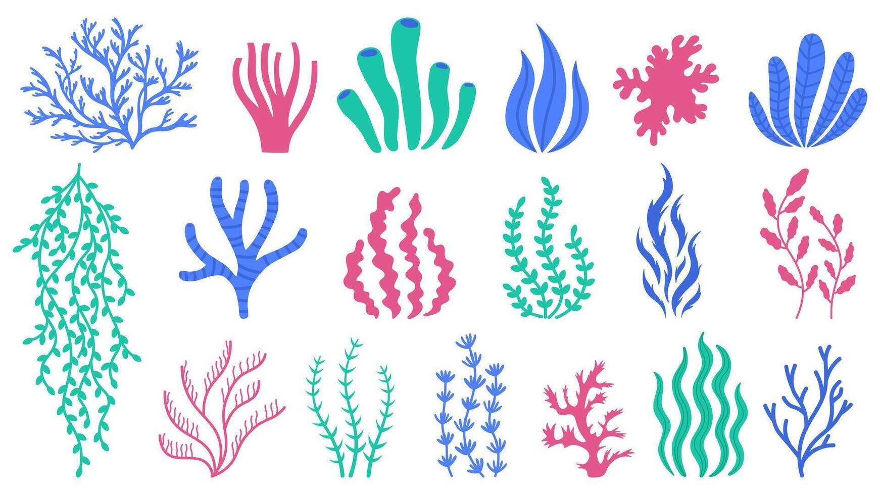 mar corales submarino plantas, mano dibujado marina botánico algas marinas, pólipos y corales, mar flora vector ilustración conjunto