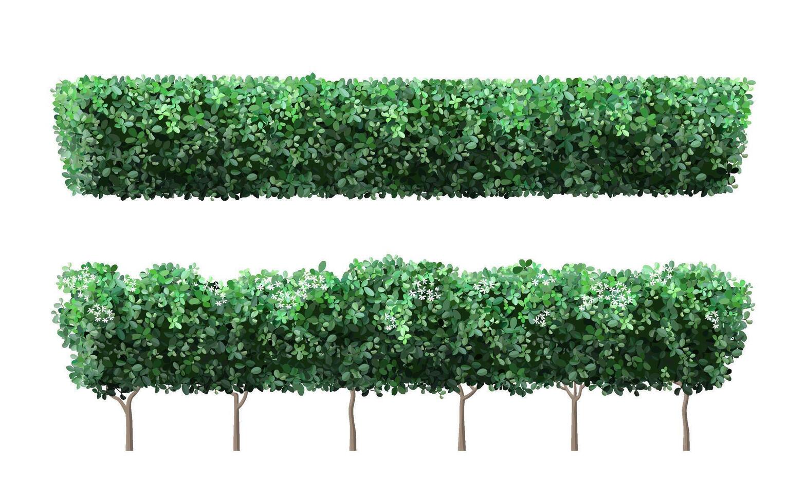 Realistic garden plant fence. Nature green seasonal bushes, tree crown bush foliage and green fence with cute flowers. Garden shrub vector illustration set