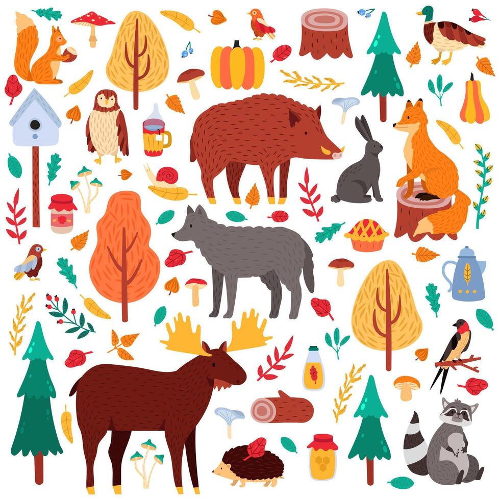 Cartoon autumn animals. Cute woodland birds and animals, moose duck wolf and squirrel, wild woods fauna isolated vector illustration icons set