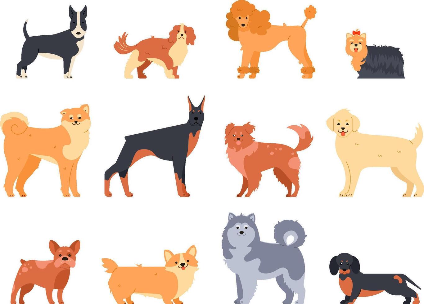 Breeds of dogs. Doberman dog, alaskan malamute, cute bulldog and akita. Group of purebred pedigree doggy character vector isolated illustration icons set. Flat style cartoon animals bundle