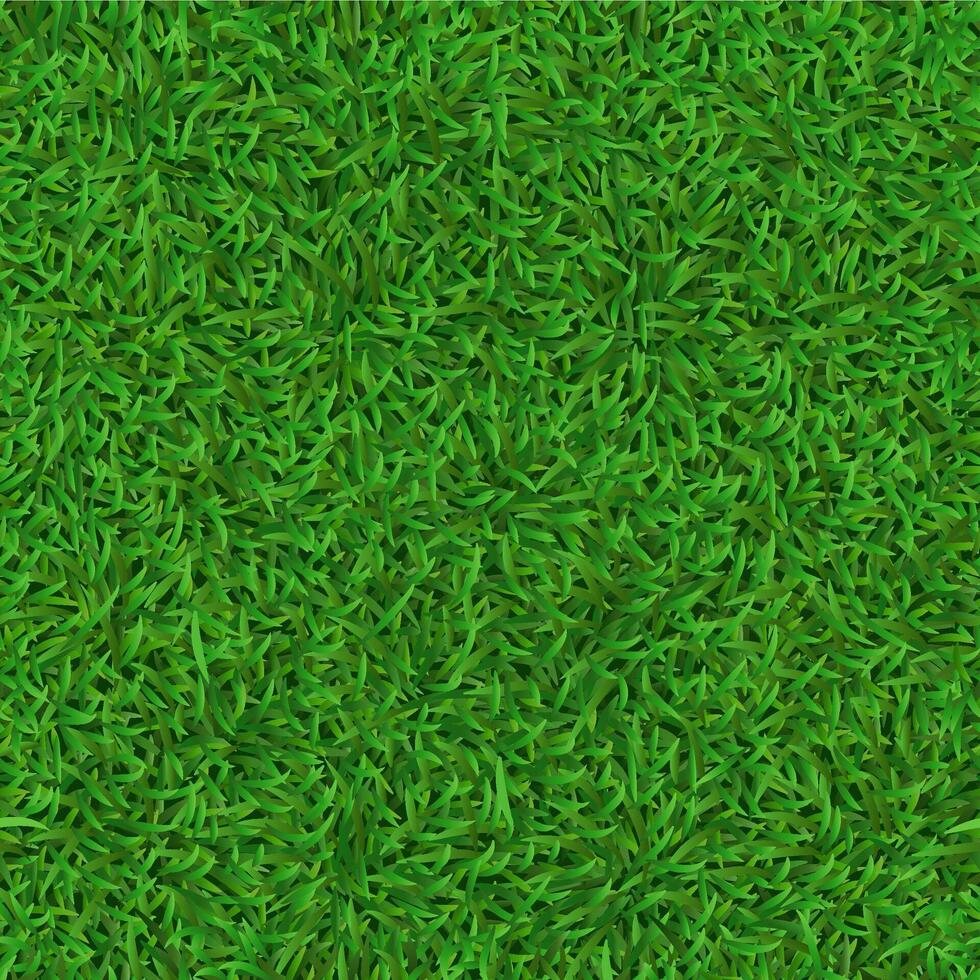 Realistic seamless green lawn. Grass carpet texture, fresh nature covering pattern, garden green grass and herbs meadow vector background