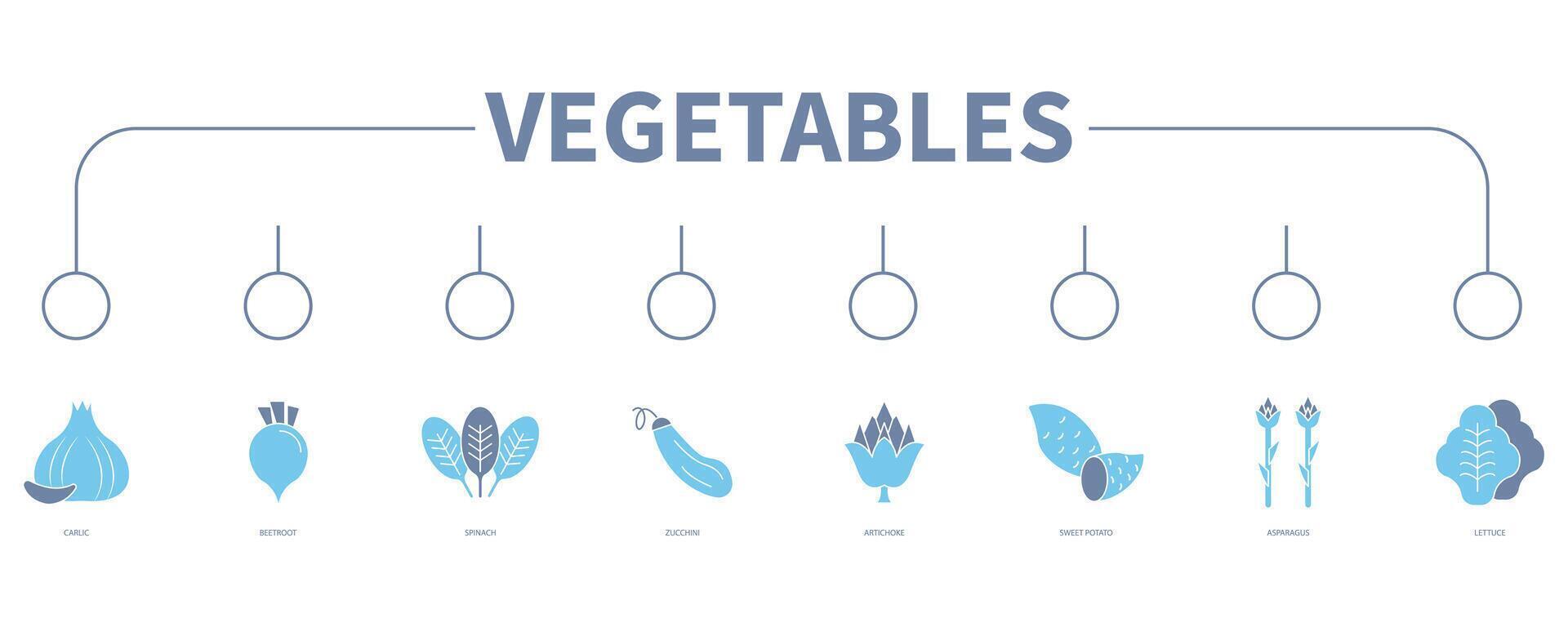Vegetables banner web icon vector illustration concept