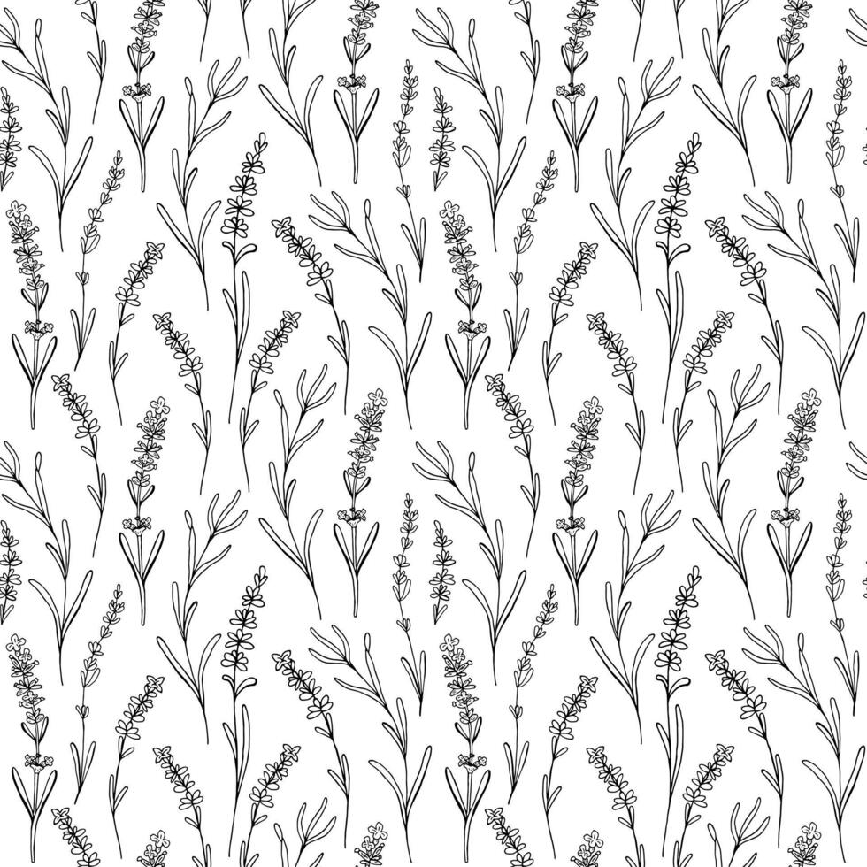 Lavender seamless pattern. Vector hand drawn print for fabric, textile, background, wallpapers