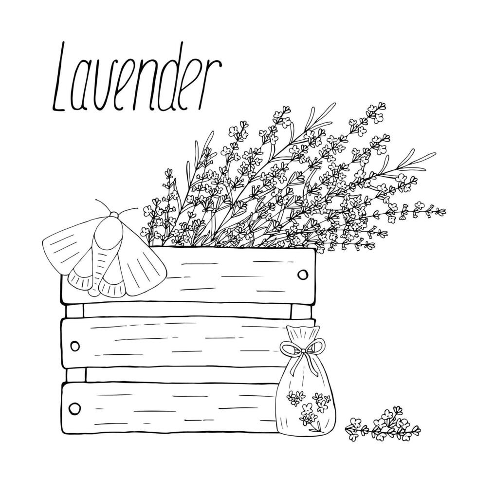 Lavender flowers in a wooden box. Vector hand drawn composition with moth and sachets. Black isolated elements on white background